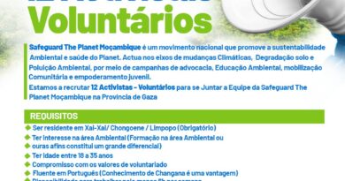 Vagas – 12 Activistas Voluntários